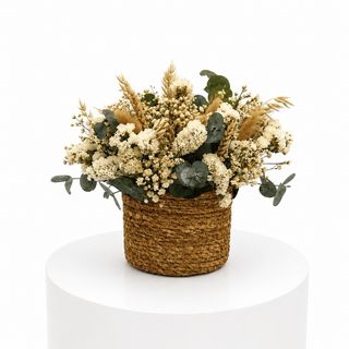 Cesta Lichi