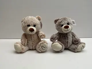 Oso de Peluche Sorpresa