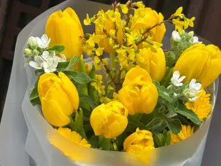 Flores del Sol