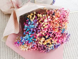 Ramo de Paniculata Rainbow