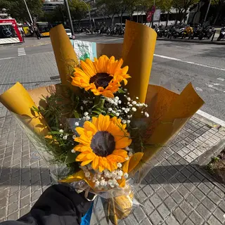 Dúo Girasol