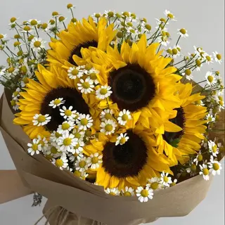 Sunshine