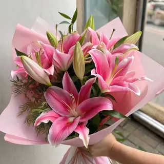 Lilys