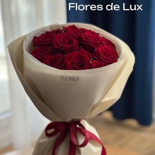 Docena Rosas Rojas