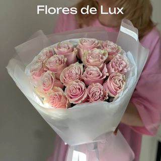 Docena Rosas Rosas