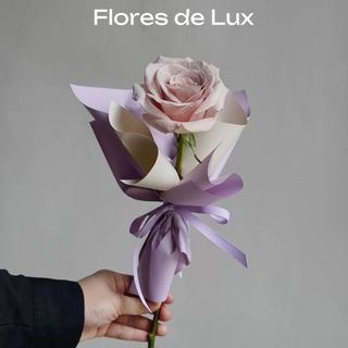 Rosa Rosa (1 Ud.)