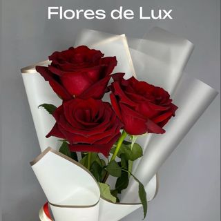 Rosas Rojas (3 Uds.)