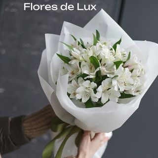 Alstromeria