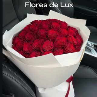 Rosas Rojas 25 Uds