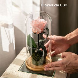 Rosa Cupalo