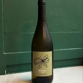 Volaina, Celler Credo