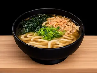 Niku Udon Básico