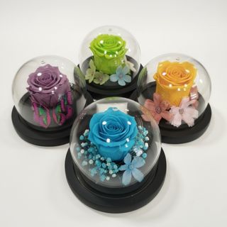 Cúpula Corazón Colores