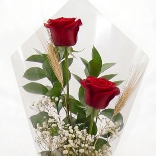 2 Rosas Sant Jordi