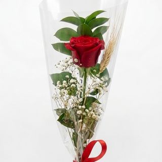1 Rosa Sant Jordi