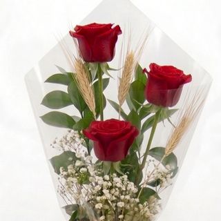 3 Rosas Sant Jordi