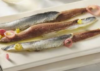 Matrimonio De Anchoa Y Boquerón