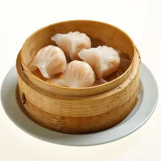 Haokao (4 Uds.)