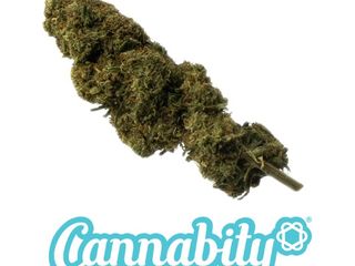 White Melon 11%CBD 1gr