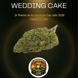 Wedding cake Indoor (3r Premio Lanzarote Cup 2026) 1gr