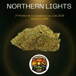 Northern Lights Indoor (2º puesto Lanzarote Cup 2026) 1gr