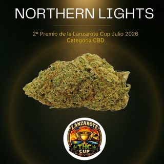 Northern Lights Indoor (2º puesto Lanzarote Cup 2026) 1gr