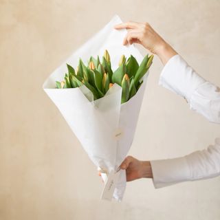 Ramo de 16 tulipanes dobles naranjas especial día de la madre