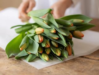 Ramo de tulipanes naranjas. 16 tallos