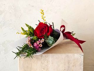 Rosa Roja de San Valentín