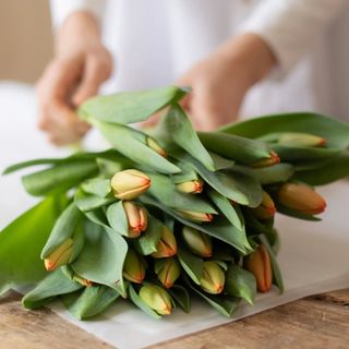 Ramo de 8 tulipanes dobles naranjas especial día de la madre