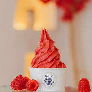 Sorbete De Temporada Vegano