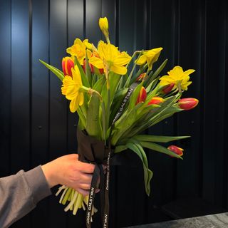 Ramo de 11 tulipanes y 9 narcissus