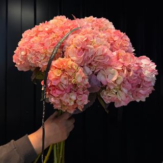Ramo de hortensias rosadas 15ud
