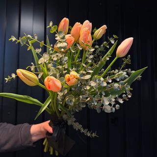 Ramo de 11 tulipanes francés y 3 eucaliptos