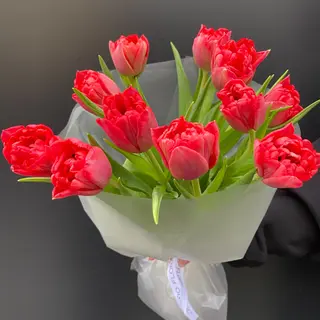 Ramo de 11 Tulipanes Rojos