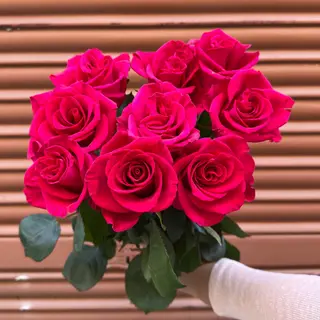 Ramo de 9 Rosas fucsia corazón