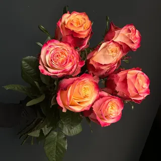 Ramo de 7 Rosas Mai Tai