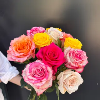 11 Rosas Rainbow