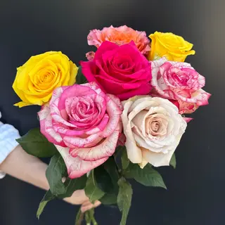 7 Rosas Rainbow