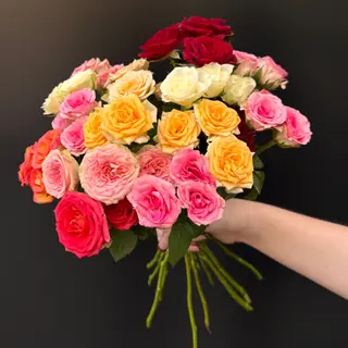 15 Rosas Ramificadas Arcoiris
