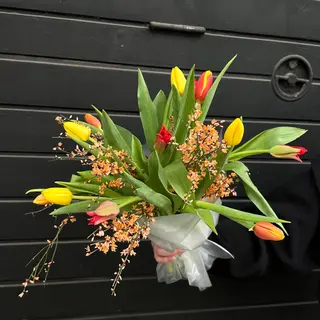 Ramo de 11 Tulipanes