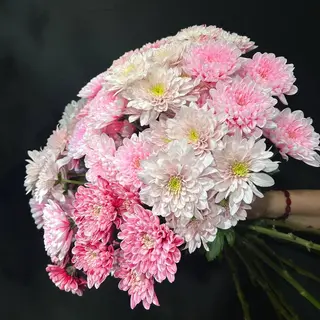 Ramo de 15 Crisantemos Blancos y Rosas