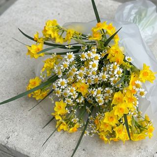 Ramo de 21 Narcisos y Manzanilla