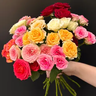 15 Rosas Ramificadas Arcoiris
