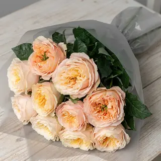 11 Rosas Peach