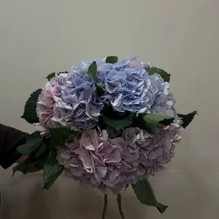 Ramo de 7 hortensias