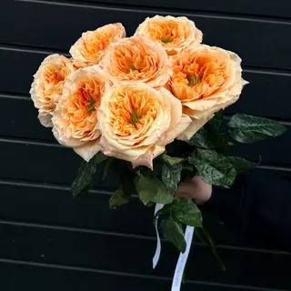 7 Rosas Peach
