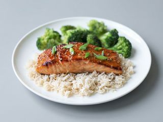 Salmon