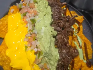 TOTOPOS EL PASO