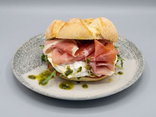 Rosetta PARMA